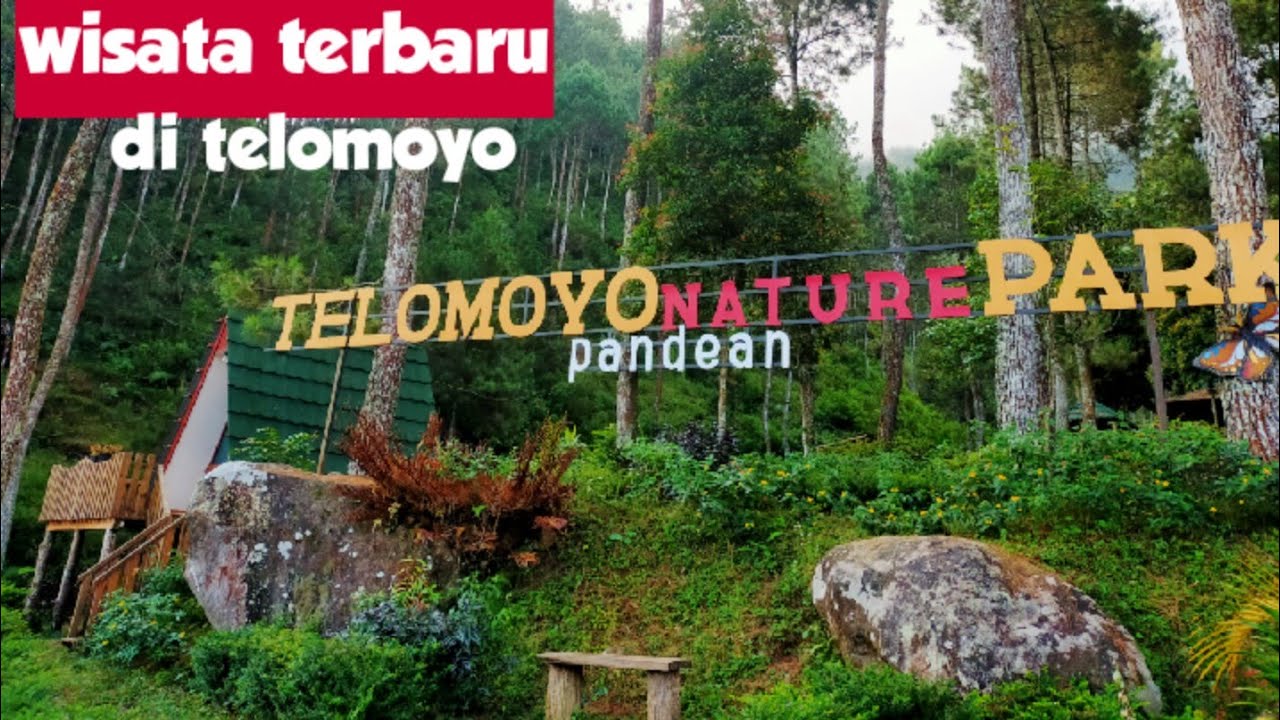 Telomoyo Nature Park: Menjelajahi Pesona Alam di Lereng Merapi